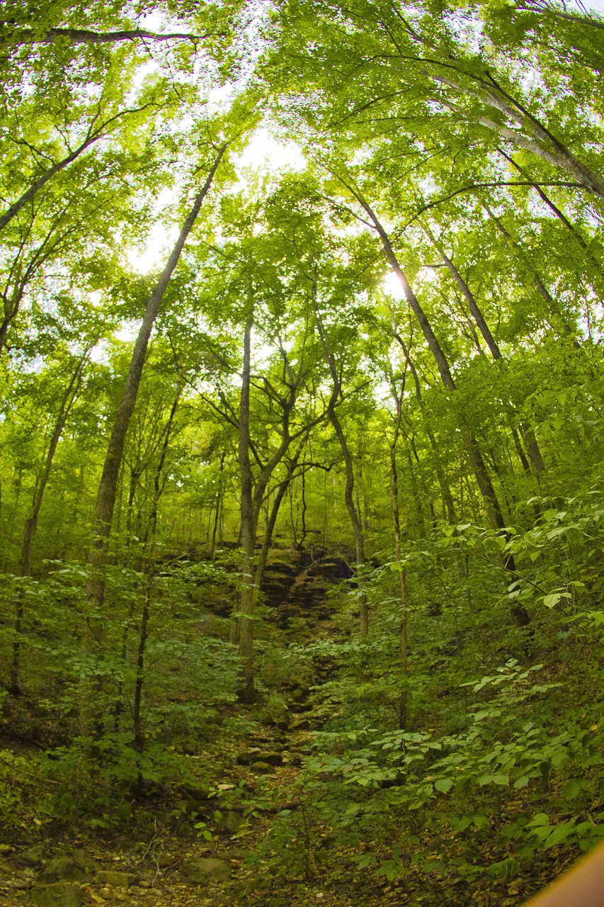 2011-07-29_044_Camping+LostValley.JPG