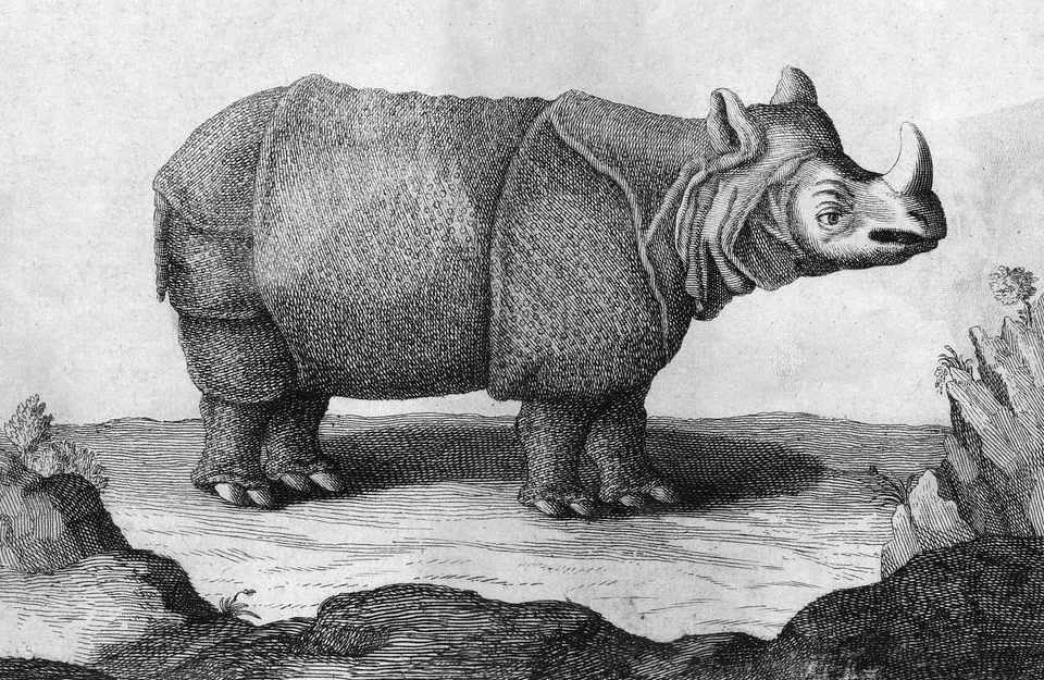 38_Chardin_Rhinoceros_in_Iran_1670s.jpg