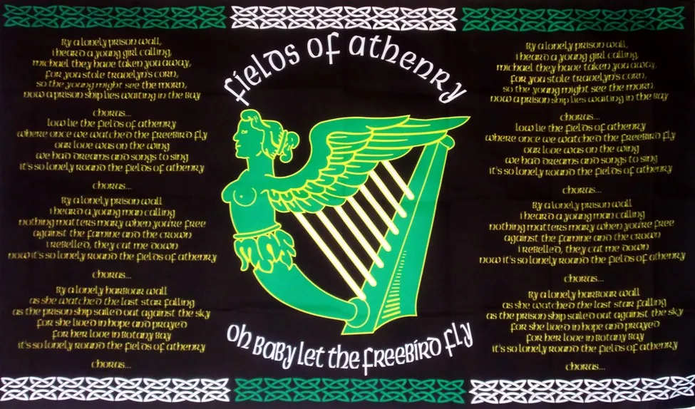 fields-of-athenry-5-x-3-flag-2430-p.jpg