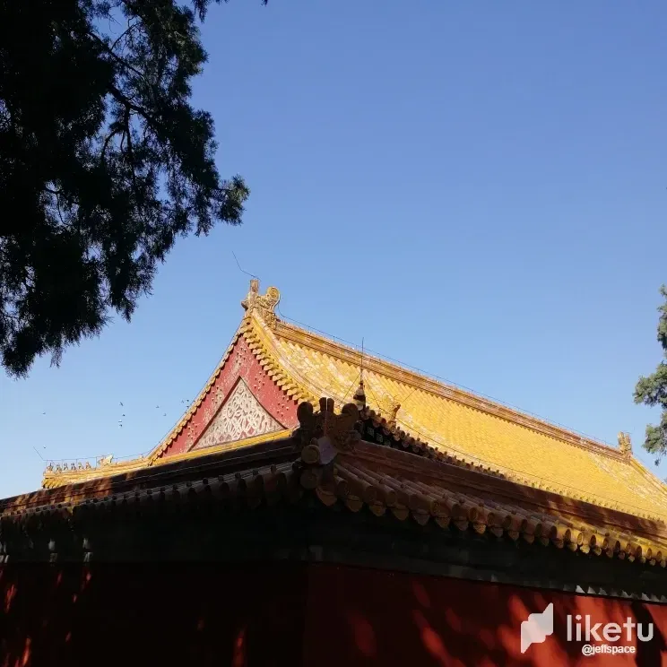 MbNAK9TzjyUyOl7C_1552720384979_1d3ef035-8f9c-44a2-b879-f38cc78510dc_by_camera.webp