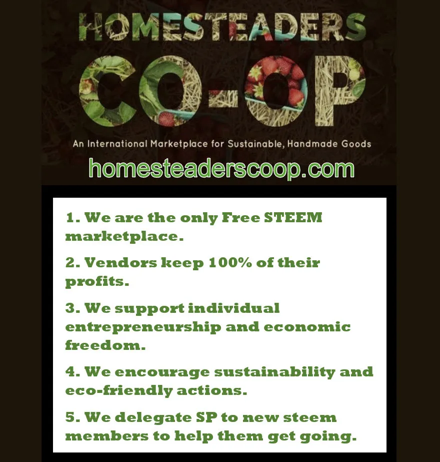 Homesteaders Coop international marketplace Main photo with url and 5 things about HSCO resized.jpg