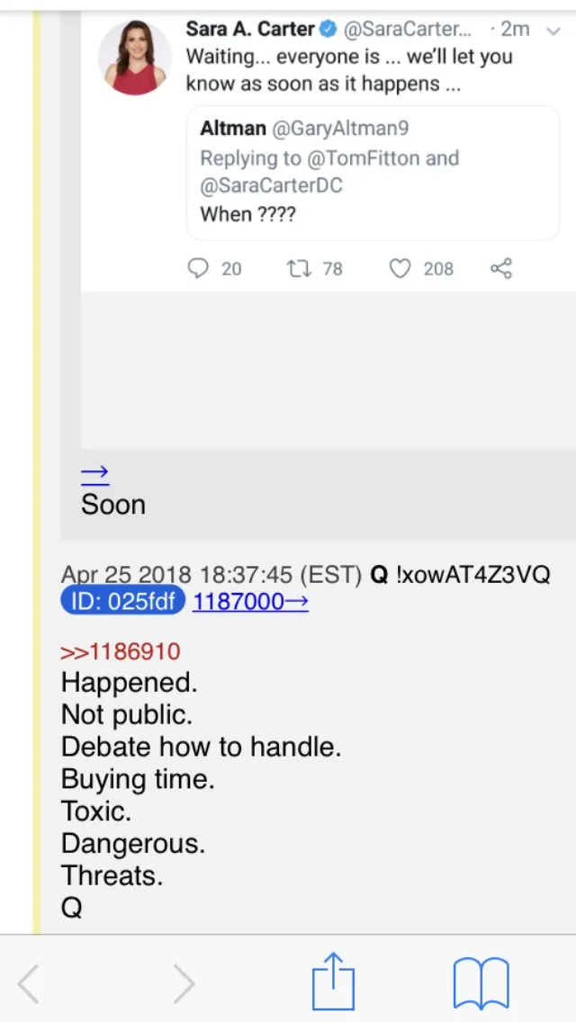 Qanon Sara Carter Q Happened texts strzok page released privately to Congress 4 26 2018 2 of 2.png