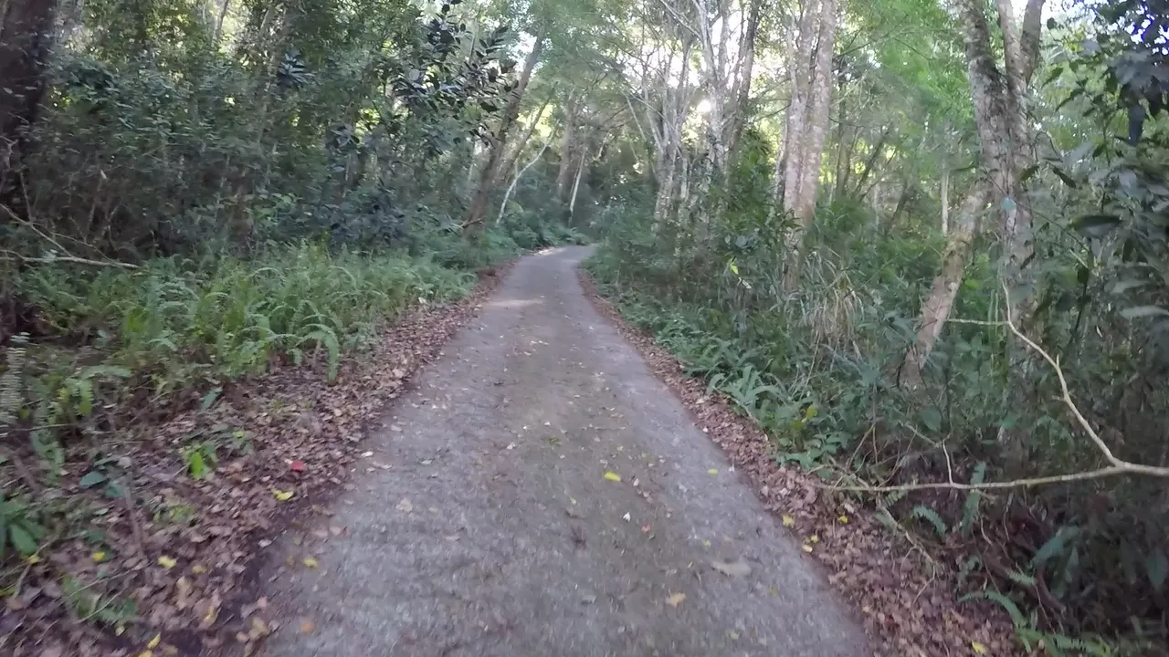 Hiking at Mount Baimao, Taiwan