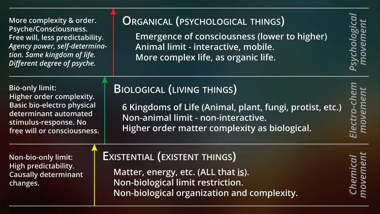 15-Existence-Levels661b63d.jpg