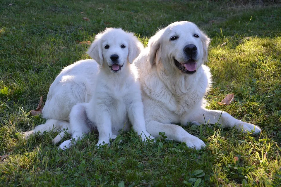 Padre e hija