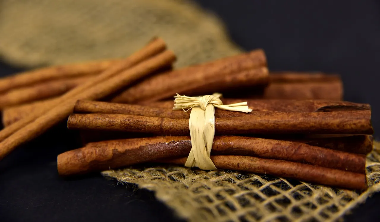 Cinnamon sticks. Photo by ulleo