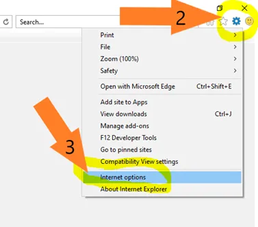 Remove Internet Explorer Browser Cookies