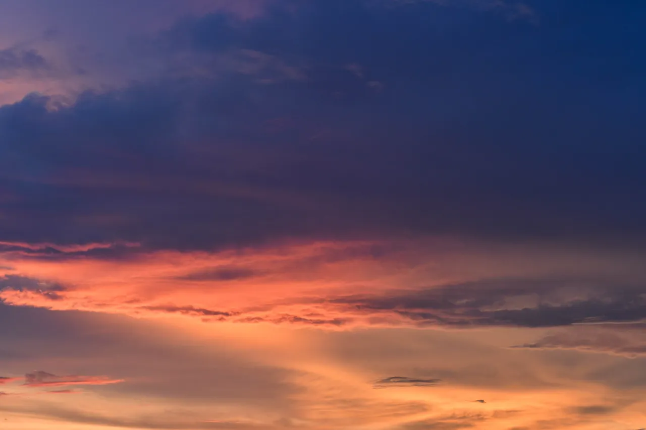 DSC_9688.jpg
