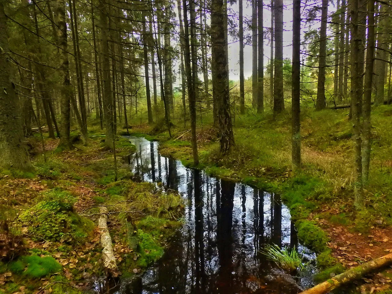 DSCN279101.jpeg