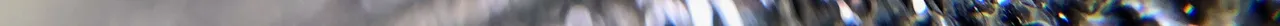 IMG_2519 2.jpeg
