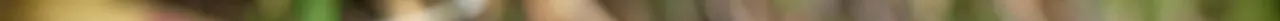 IMG_2606 2.jpeg