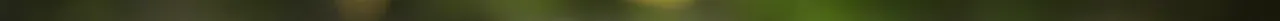 IMG_2608 4.jpeg