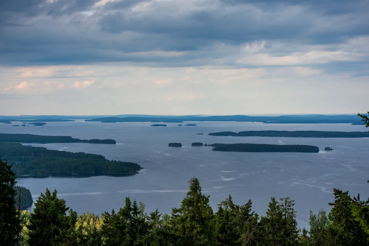 koli15.jpg