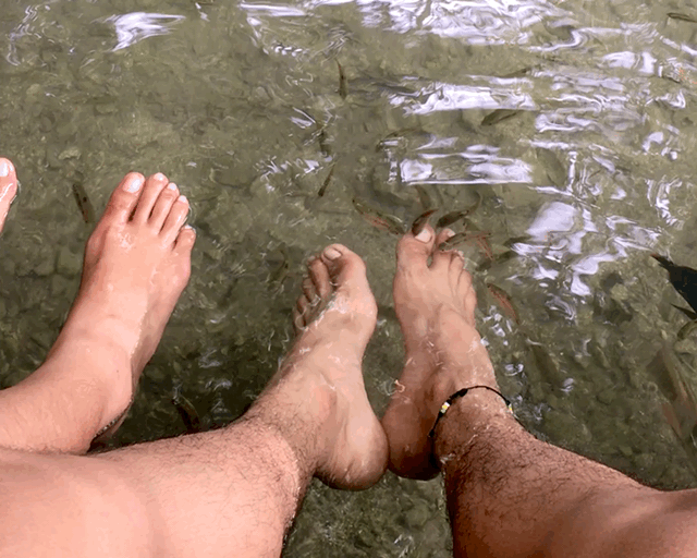 IMG_6142.GIF