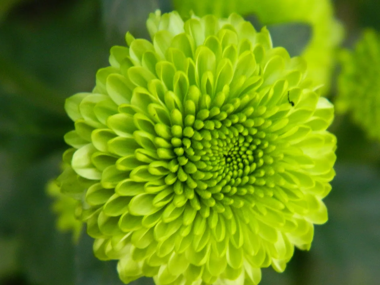 DSCN5018.jpg