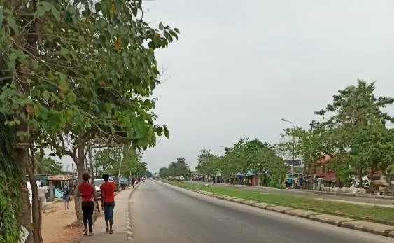 lonely road.jpg