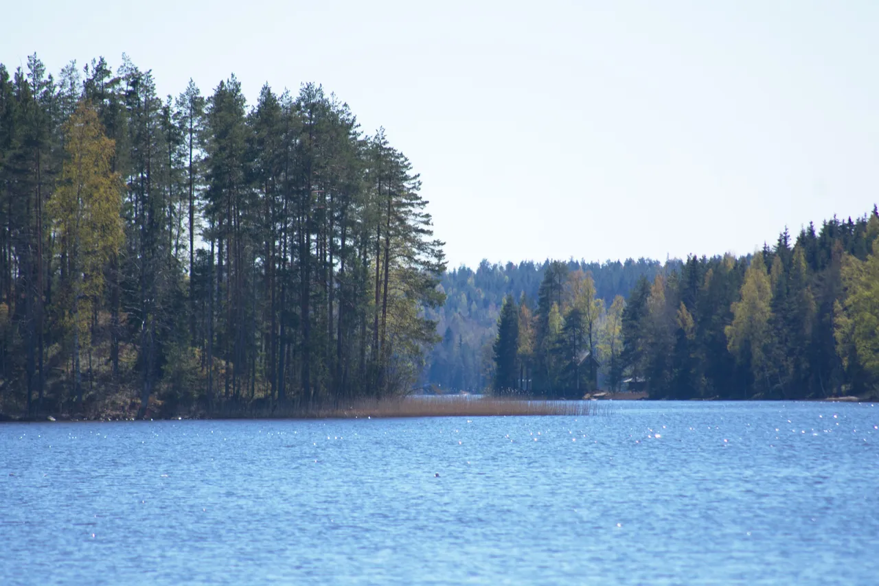 DSC_0190.jpg