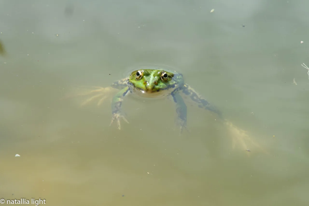 DSC_1221.JPG