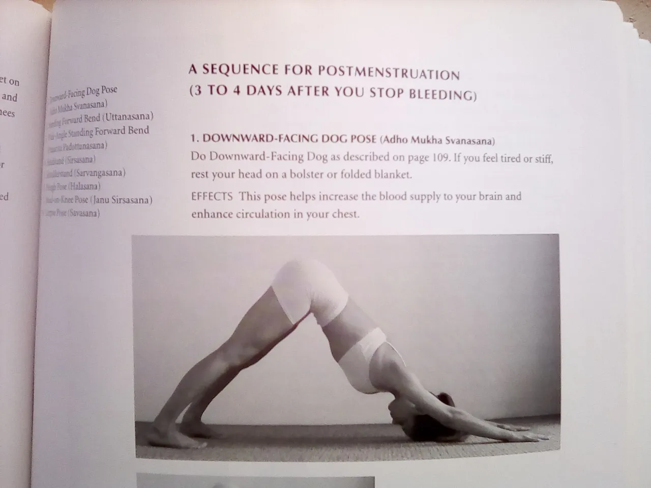 yoga 4.jpg