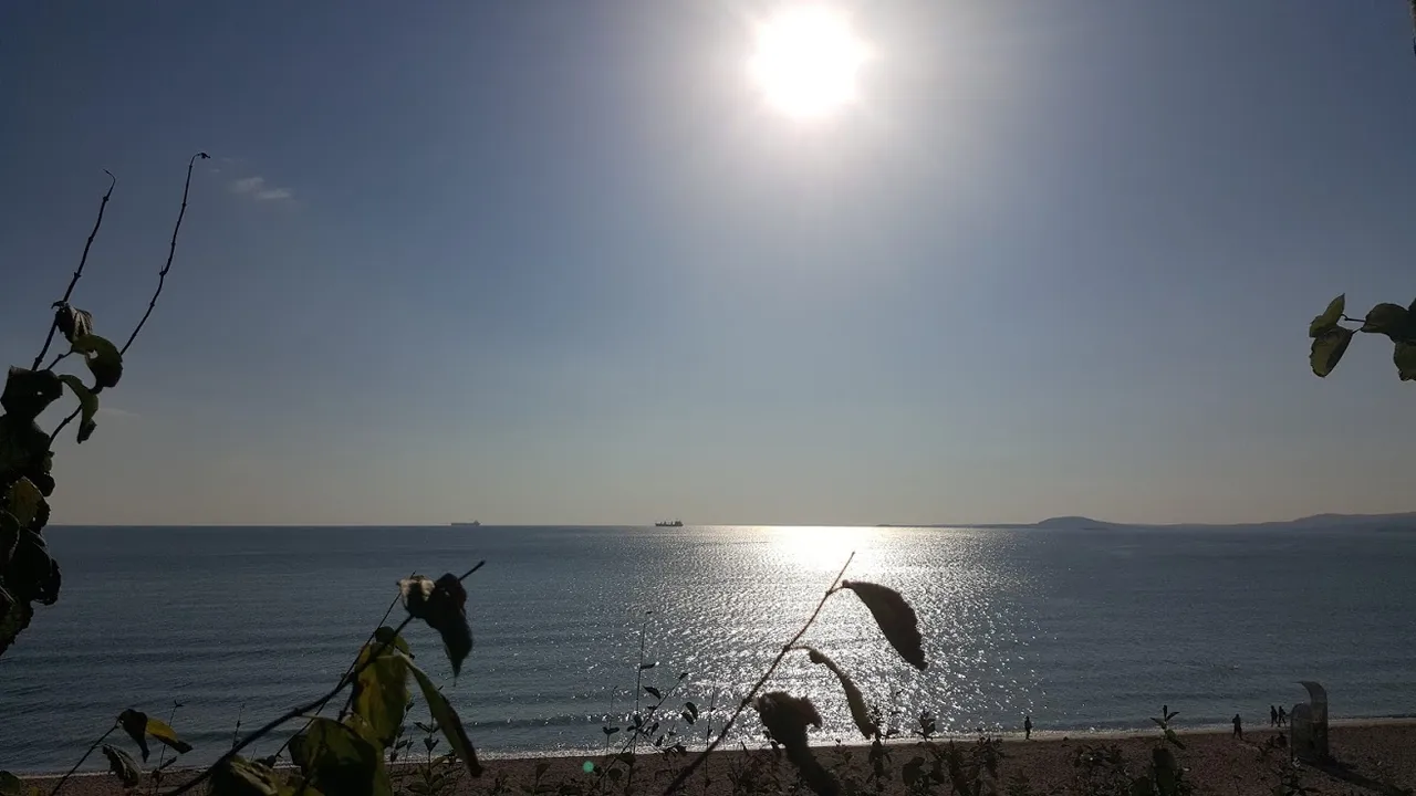 beachburgas.jpg