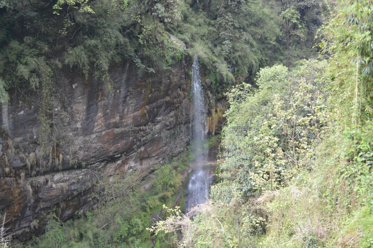 DSC_0134.JPG