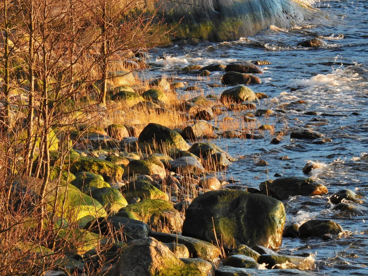 DSCN45411.jpg