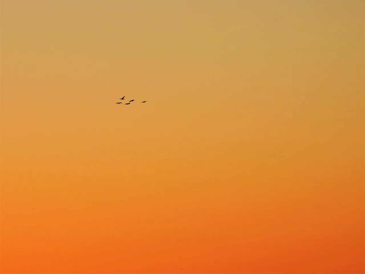 DSCN45701.jpg