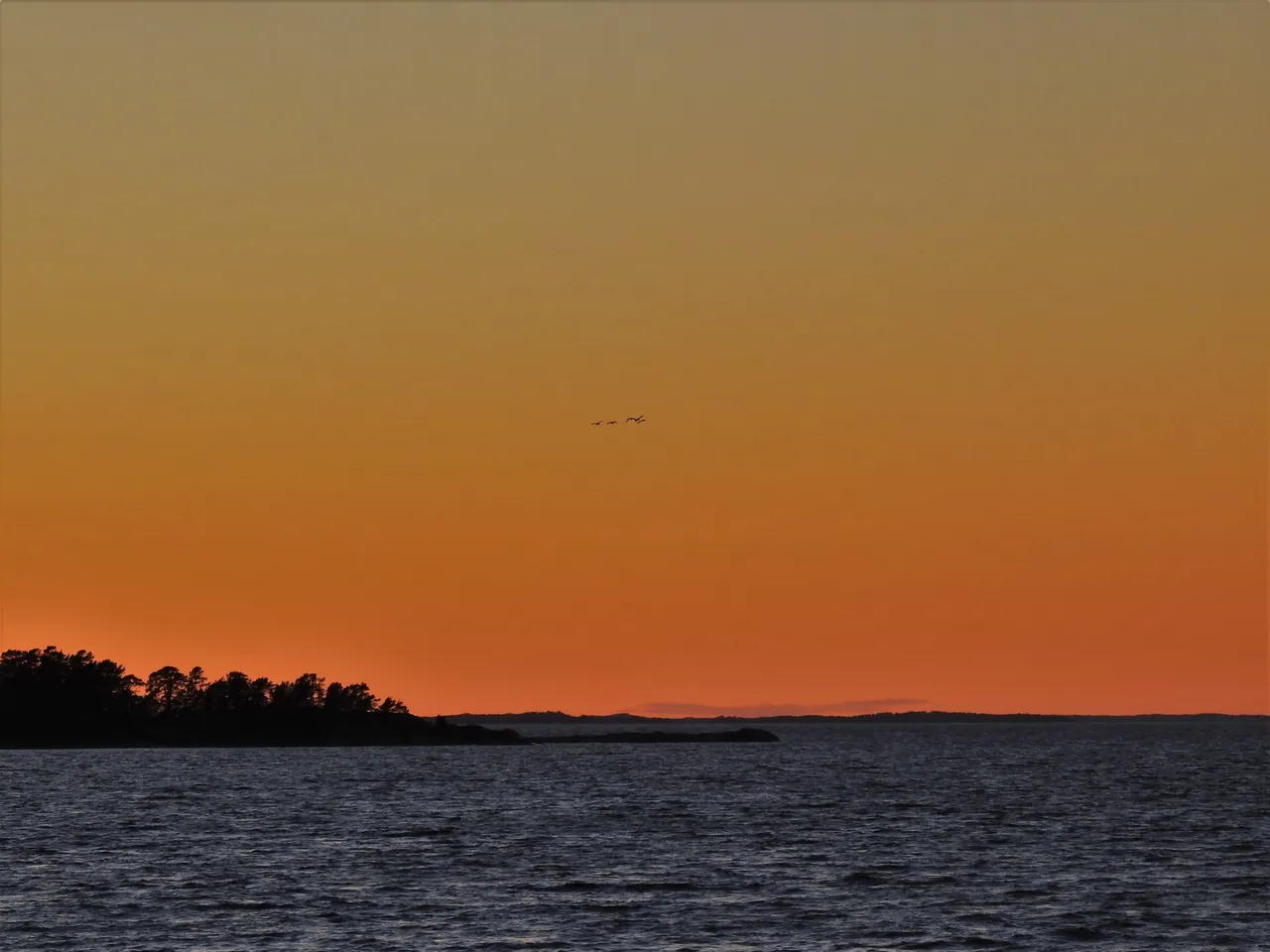 DSCN45711.jpg