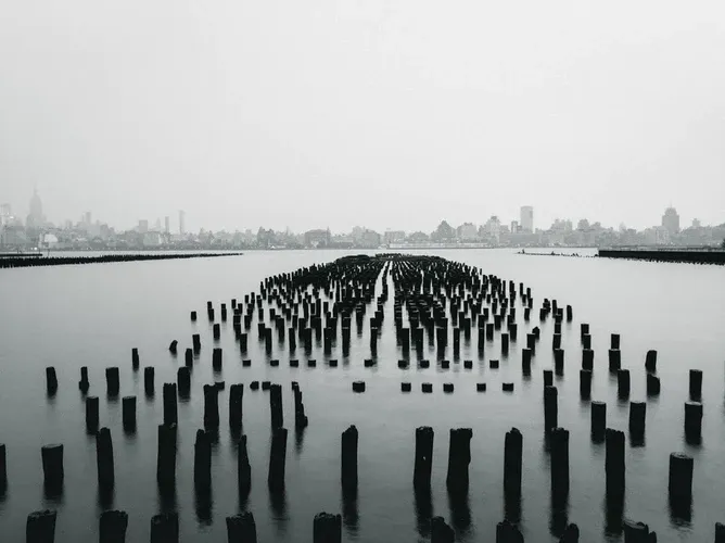 image3.png