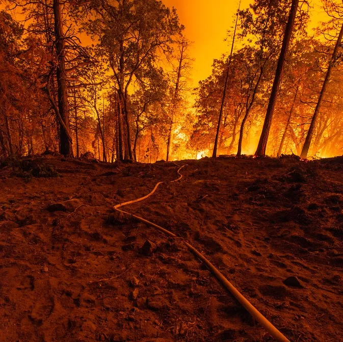 fire 2.jpg