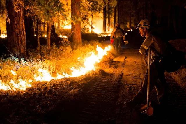 fire 3.jpg
