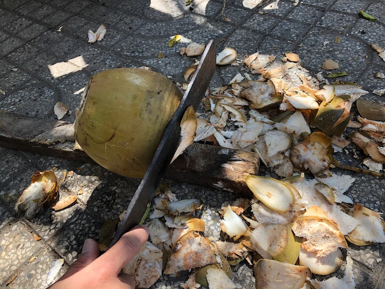 Cutting through the coconut coir