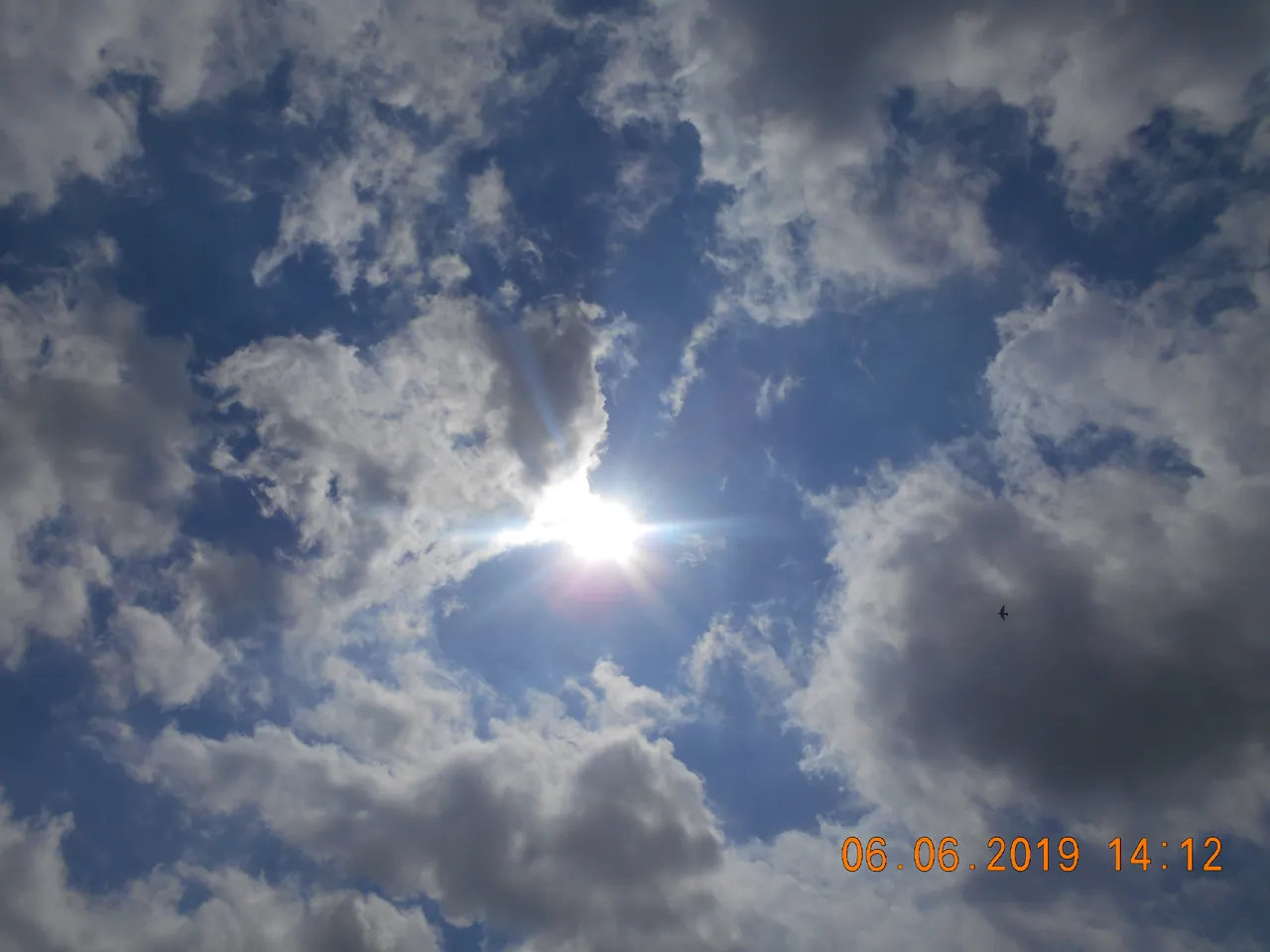 DSCN9273.JPG