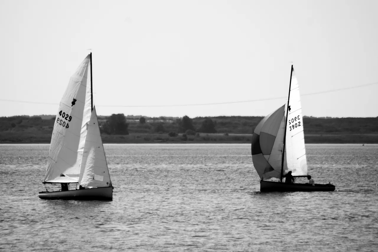 _DSC5469.JPG