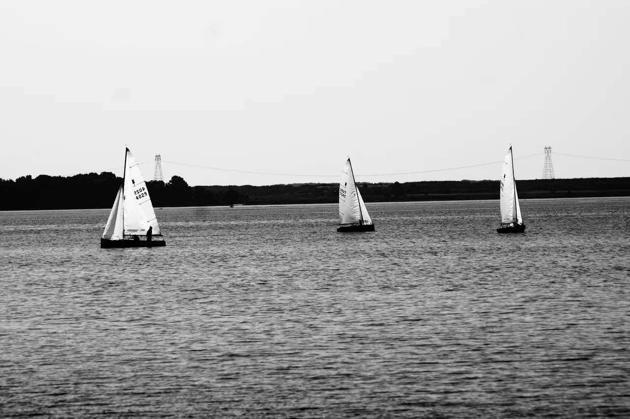 _DSC5466.JPG