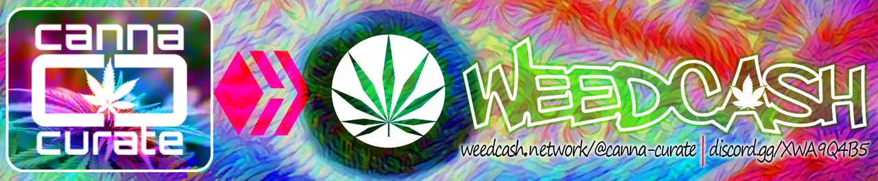canna-curate-weedcash-hive-blog-banner-post