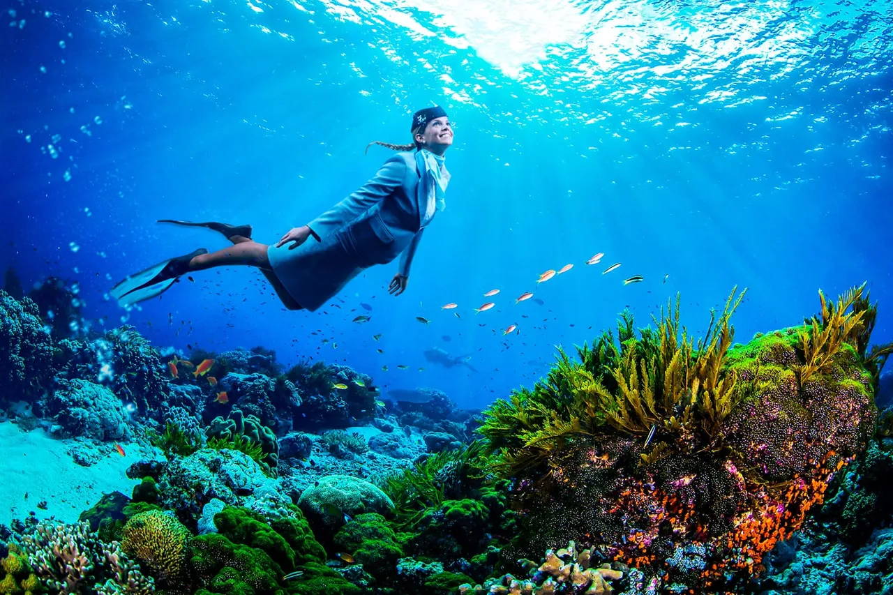 Dive HiFly flyingthechange