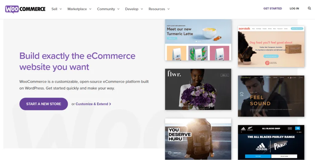 create an online store with wordpress woocommerce