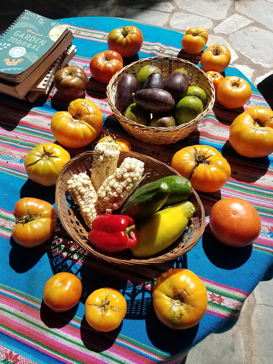 tomatoes on table