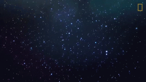 untitled.gif