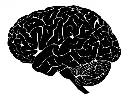 black brain