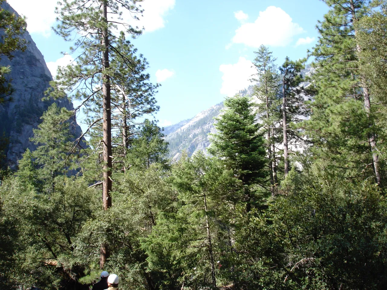 DSC012897fa7d.jpg