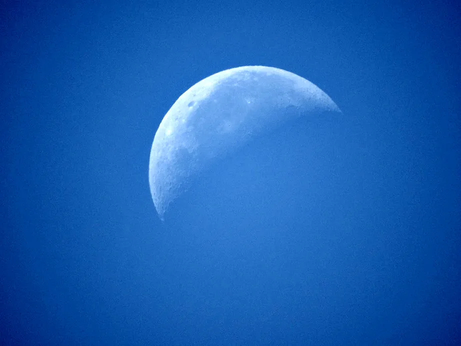 12 Last Quarter Moons