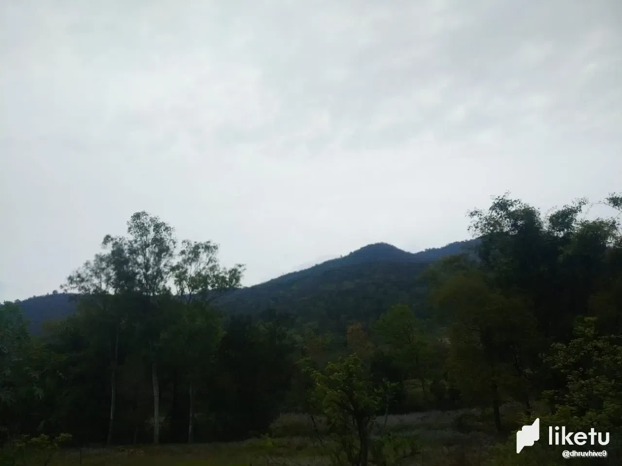 4QtSR5qzMmjU5Lh3_WhatsApp_Image_2025-06-01_at_13.37.39_1.webp