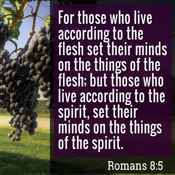 The eternal war between the flesh and the spirit. Romans 8, 5.jpg