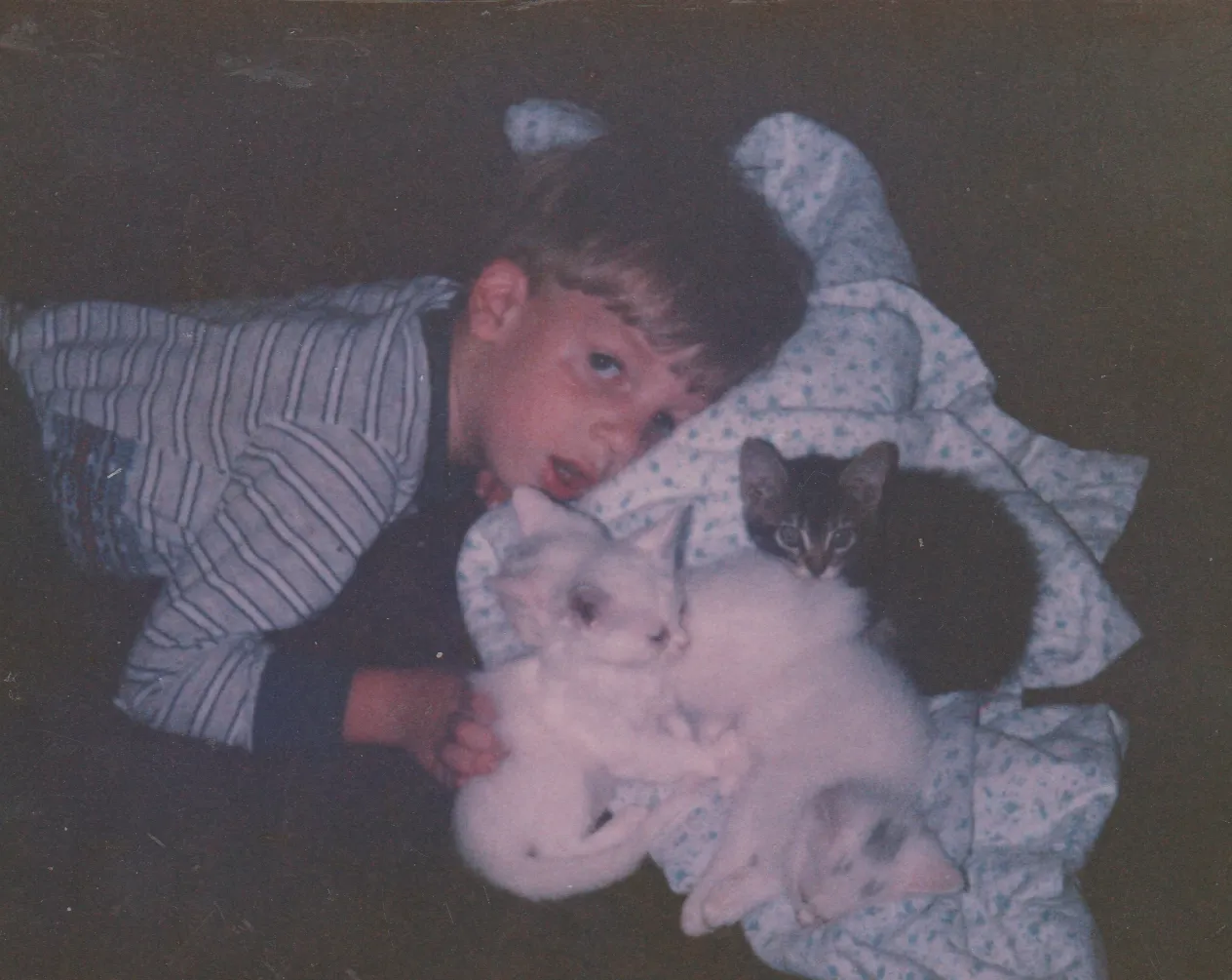 1987-05 - Rick with kittens: Mark, Luke, John, and Charlie or Tiny.jpg