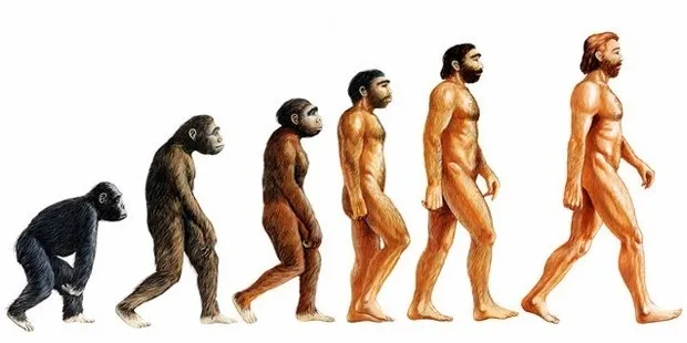 raw_prof-celal-sengor-evrim-teorisi-darwinden-cok-once-islam-alimlerinde-vardi_510491694.jpg