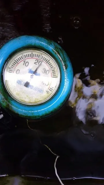 temperature