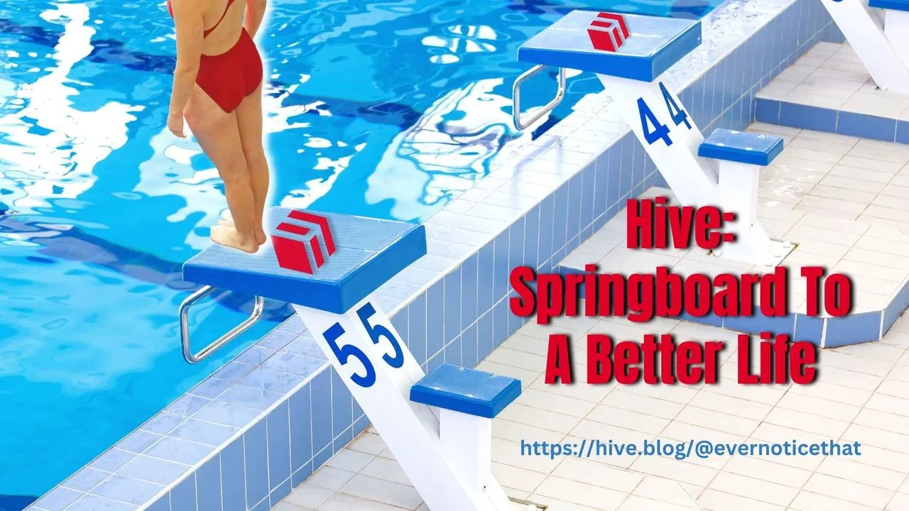 Hive Springboard To A Better Life EverNoticeThat httpshive.blogevernoticethat.jpg
