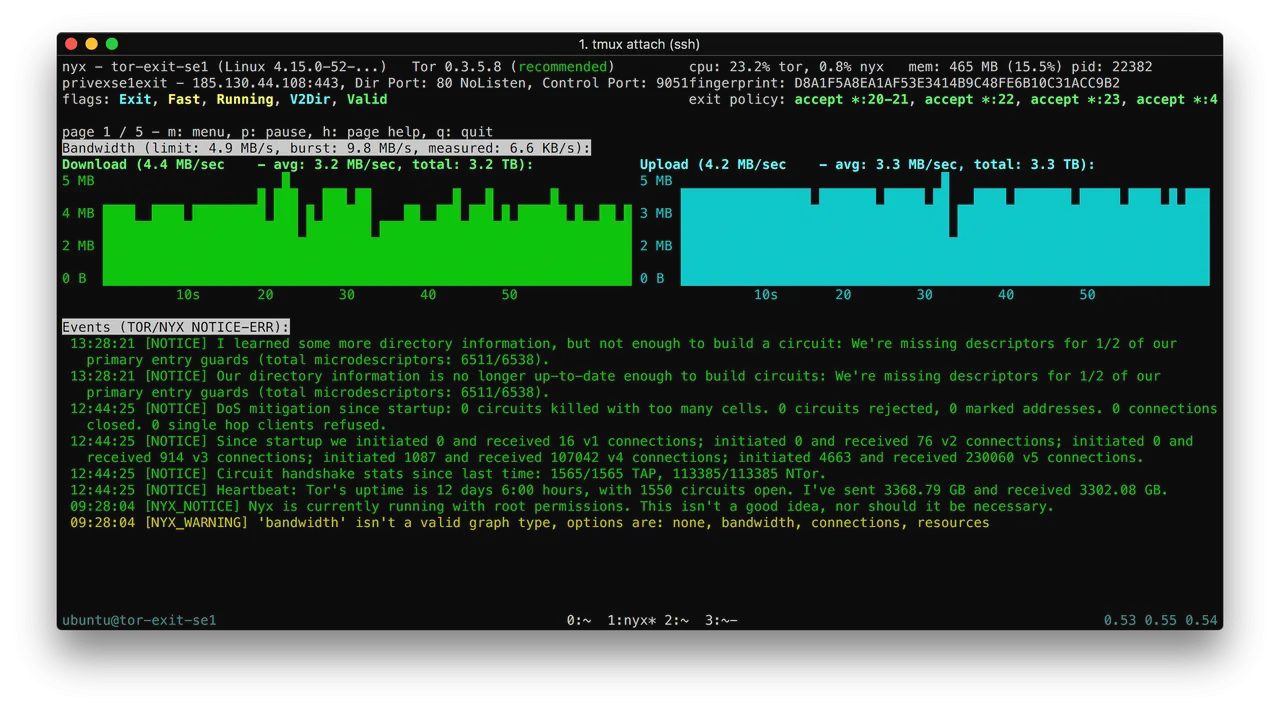 Screenshot of Nyx statistic for the exit node